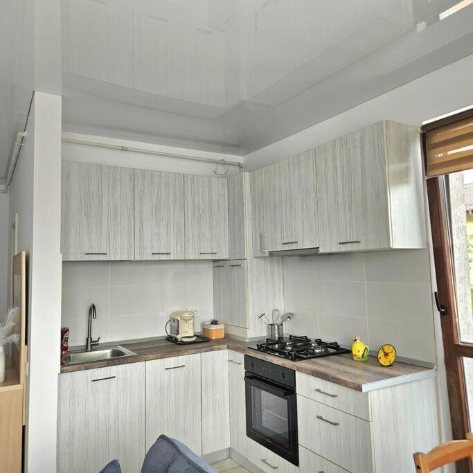 Cozy Sorada 2 Apartment Bragadiru Dış mekan fotoğraf
